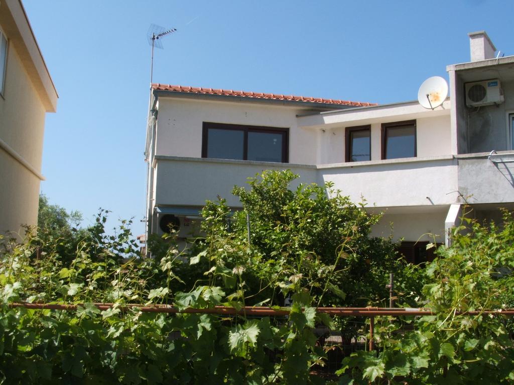 Apartments Maslina Božava الغرفة الصورة